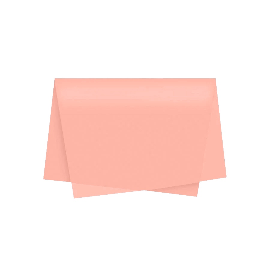 Papel de Seda - 50x70 - Nude - 10 unidades - Rizzo - Home & Living