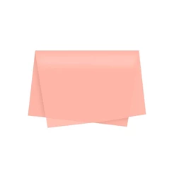 Papel de Seda - 50x70 - Nude - 10 unidades - Rizzo