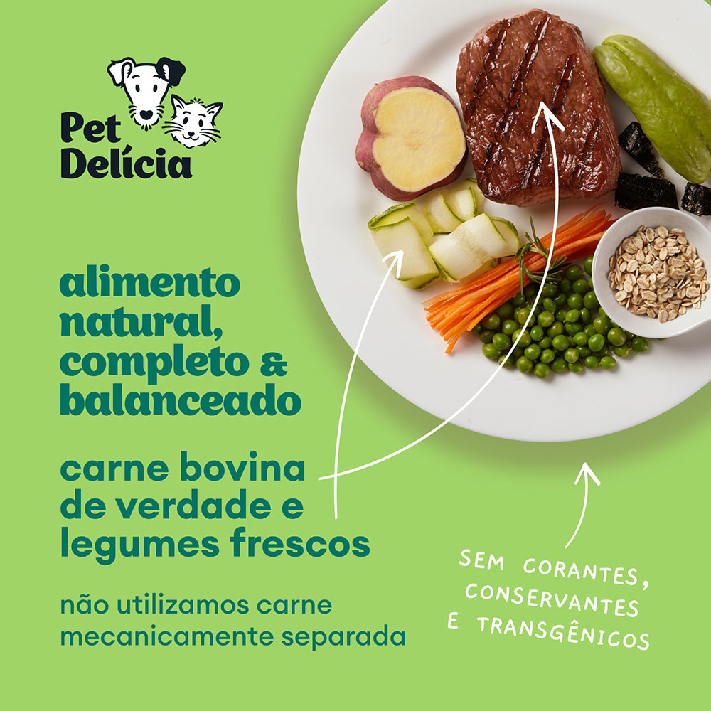 Ração Úmida Pet Delícia Gatos Picadinho de Carne 110g