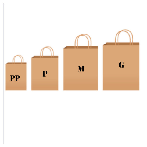 Sacolas Papel Kraft Lisa Com Alça Resistente Tamanho PP ao XG 10 Unidades