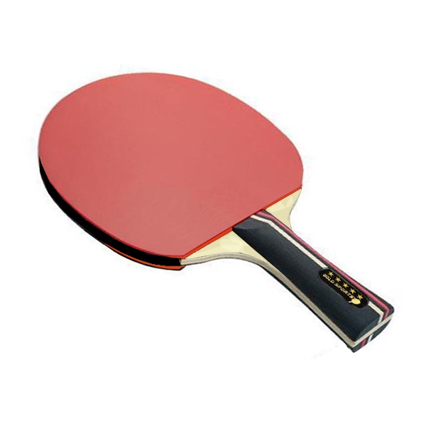 Kit Tênis de Mesa Gold Sports Venus - 1 Raquete 5 Star - 3 Bolas TM Star - Raqueteira