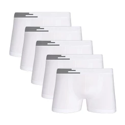 Kit 5 Cuecas Boxer Microfibra Up Underwear 436 Branco