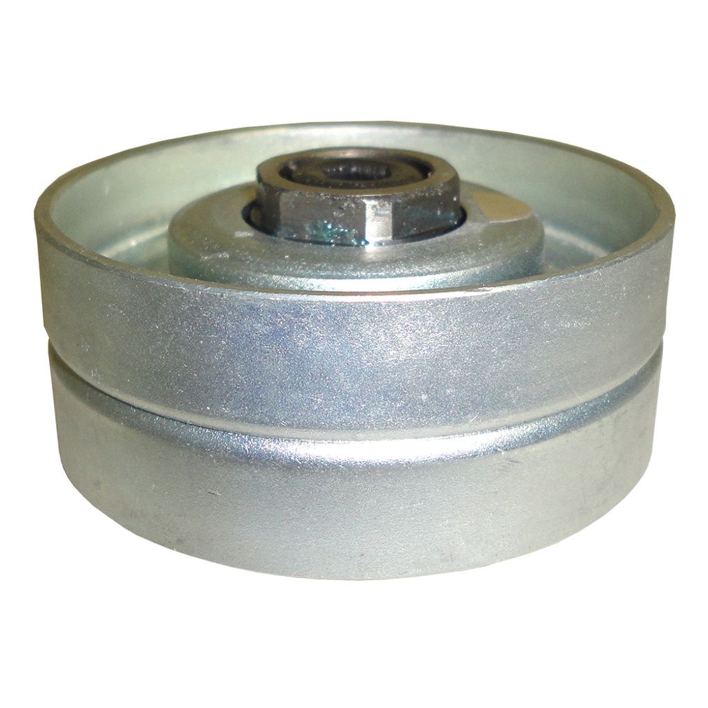 Polia Correia Alternador Renault Megane 1995 a 2012 - 183853 - 4620
