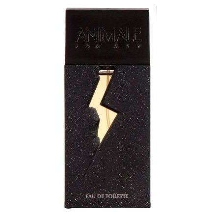 Animale For Men 100ml - Perfume Masculino - Eau De Toilette