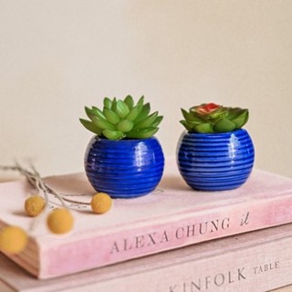 Kit 2 Vaso Cachepot Porcelana Azul Redondo Com Planta Decorativo 6cmx7cm