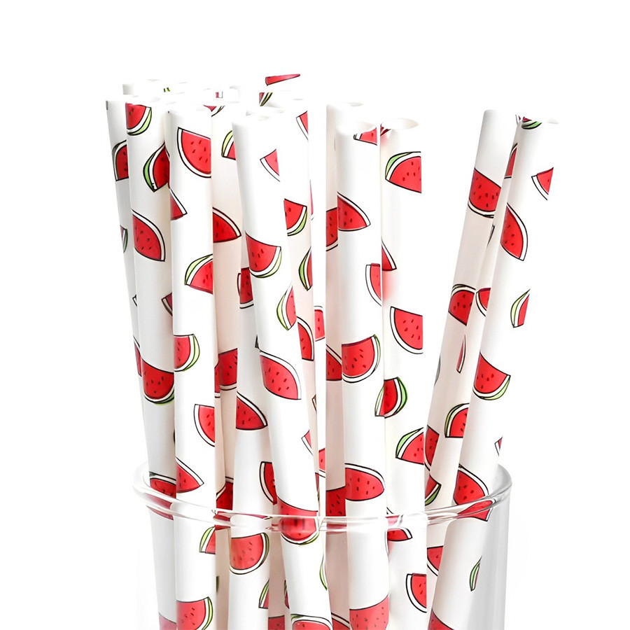 Canudo de Papel - Melancia - 12 unidades - Rizzo - Home & Living