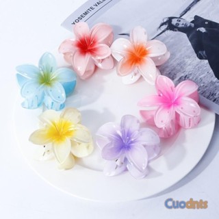 Clip De Flor De Cabelo Cor Doce Lírio Frangipani Acessórios