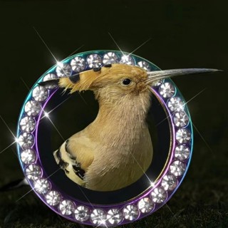 Protetor De Câmera Diamante Para iPhone 13 11 12 Pro Max 12 13 Mini Vidro Temperado Anéis De Metal De Lente