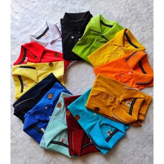 Kit 5 Camisas Polo Infantil e Juvenil 2 4 6 8 10 12 14 anos em Oferta na Shopee