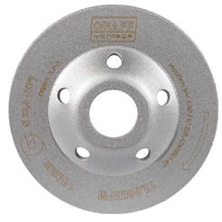 Rebolo Diamantado Tipo Prato 100x22,3mm (573,0001) - Graff Vantage