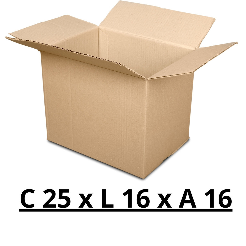 125 Caixas de Papelão 25x16x16 cm N.07 para Correio Sedex Pac de Envios para Portão e Muro, Pequena, Grande