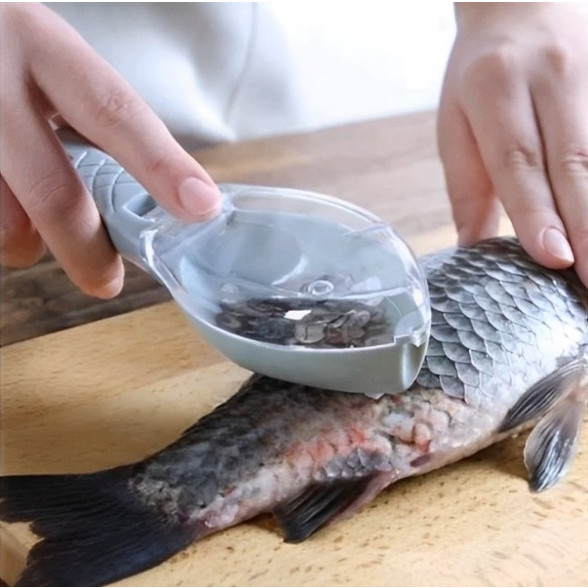 Descamador de Peixe Tira Escamas com Lâmina e Coletor