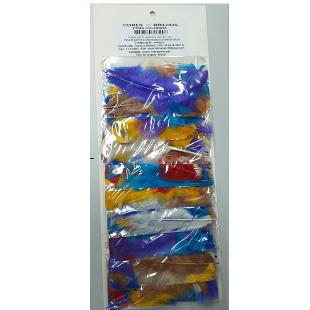 Pena Colorida Cores Sortidas Cores e Brilhos - Cartela com 10 Pacotes para Artesanato e Decoração