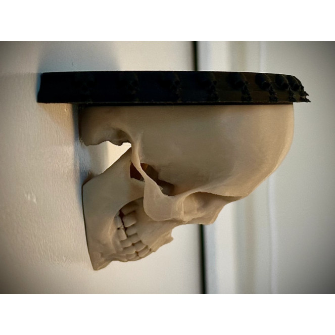 Decoração 3D para Parede Prateleira de Crânio Humano em Oferta na Shopee