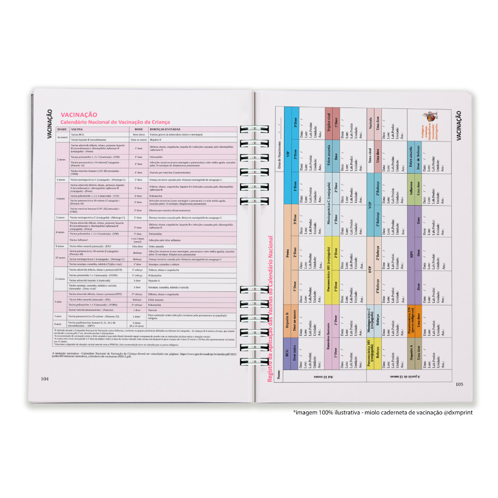 Caderneta de Saúde/Vacina - Menina - Capa Dura - Personalizada - Alfabeto 2