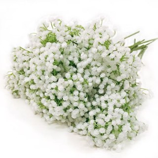 Buquê Artificial Mosquitinho Branco Toque Real Para Arranjos Decorativos Enfeite em Oferta na Shopee
