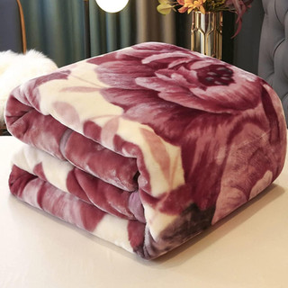 Cobertor Casal 200x180 Antialérgico Estampado e Cor Lisa - Toque Macio - Manta Casal Sort…