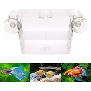 Mini Criadeira Flutuante De Acrílico Skrw Cr-07 12x7x7cm em Oferta na Shopee