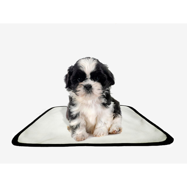 Tapete pet lavável educador higiênico 1 un PP 40x50cm