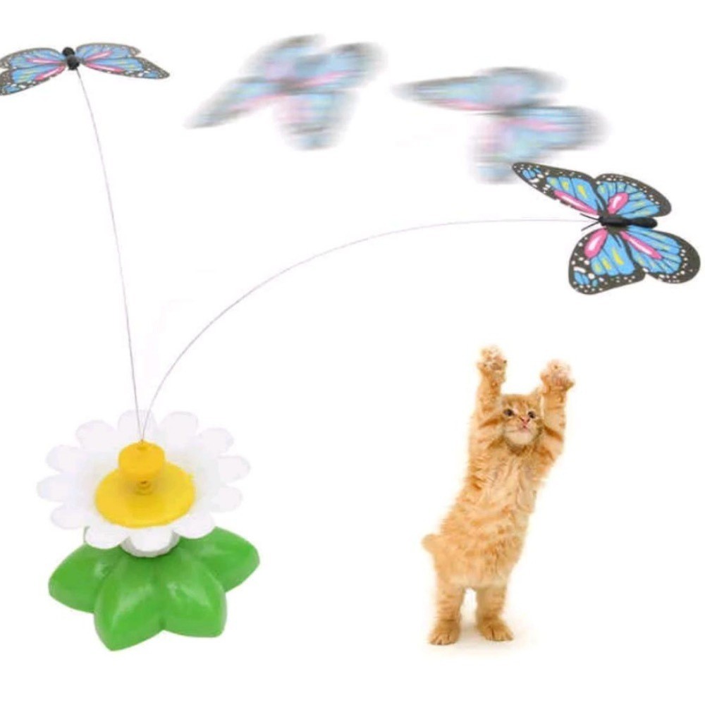 Brinquedo Rotativa Elétrica Borboleta Voadora Para Pet Gato - Envio Imediato em Oferta na Shopee