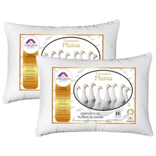 Kit 2 Travesseiros Penas e Plumas De Ganso 70x50 Antialérgico Antiácaro Preço Baixo