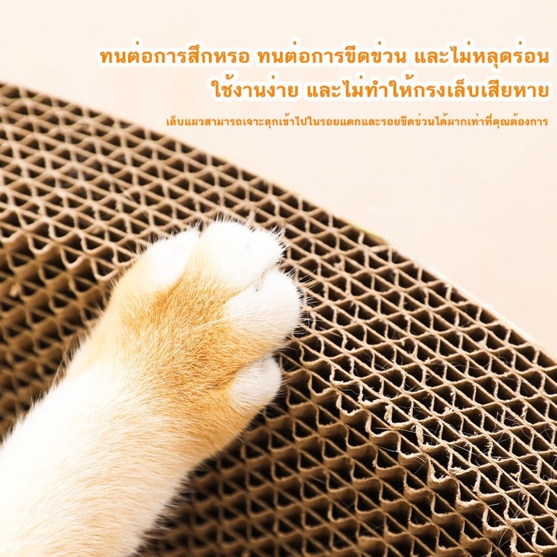ที่ลับเล็บแมว รูปอ่าง ที่ฝนเล็บแมว ของเล่นแมว เป็นที่นอนแมวไปในตัว ฟรี แคปนิท ขนาดไซส์ใหญ่จัมโบ้น้องแมวชอมาก - ภาพที่ 6