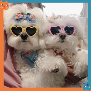 Óculos De Sol Em Forma De Coração De Gato Acessórios Para Animais De Estimação Fotográficos em Oferta na Shopee