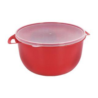 Bacia Conteiner 6,5 Litros Alimentos Tampa Churrasco Salada em Oferta na Shopee