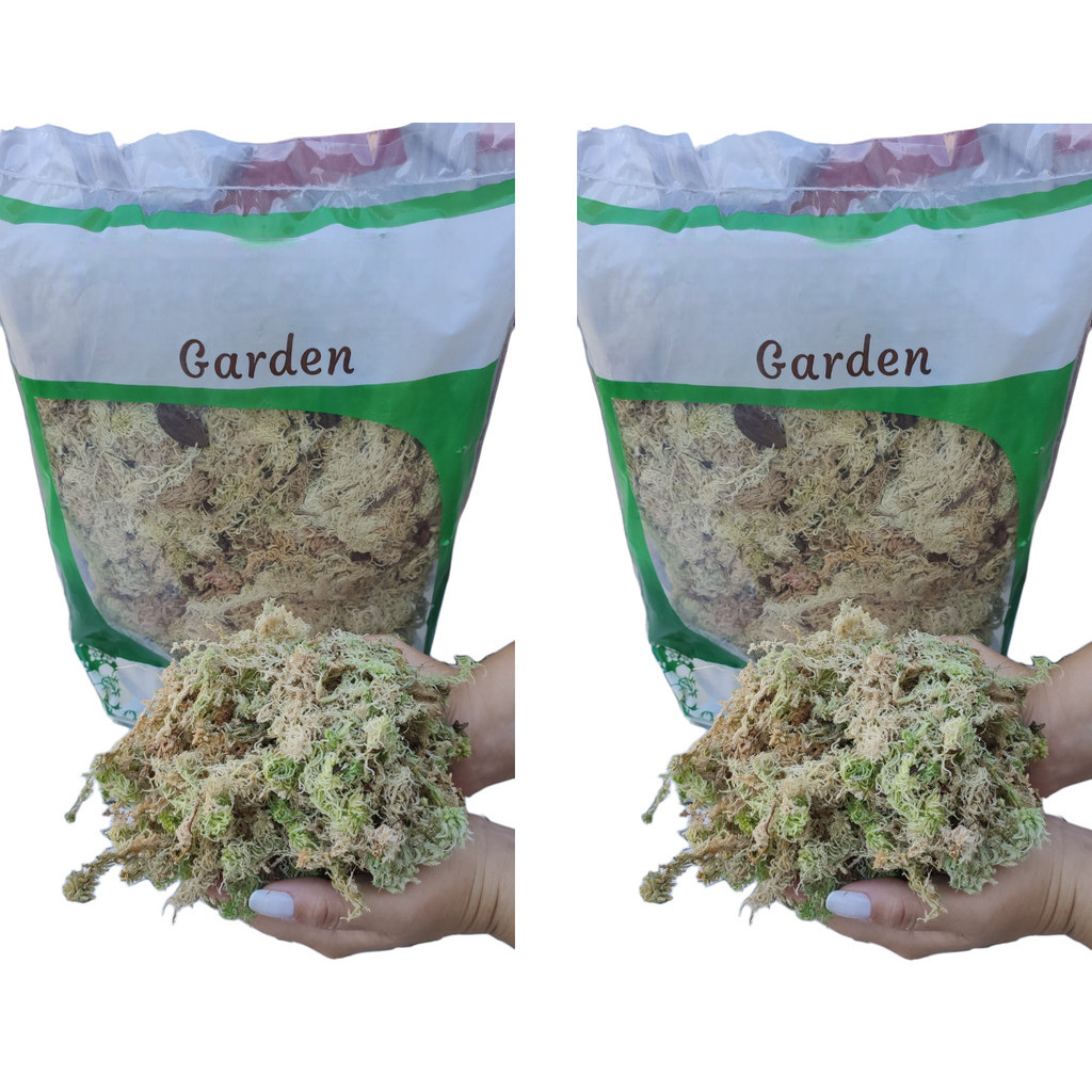 6 Litros Musgo Esfagno Orgânico Substrato Orquídeas Sphagnum