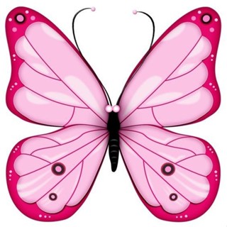 4 displays borboleta rosa de 20 cm feito em mdf 3 mm em Oferta na Shopee