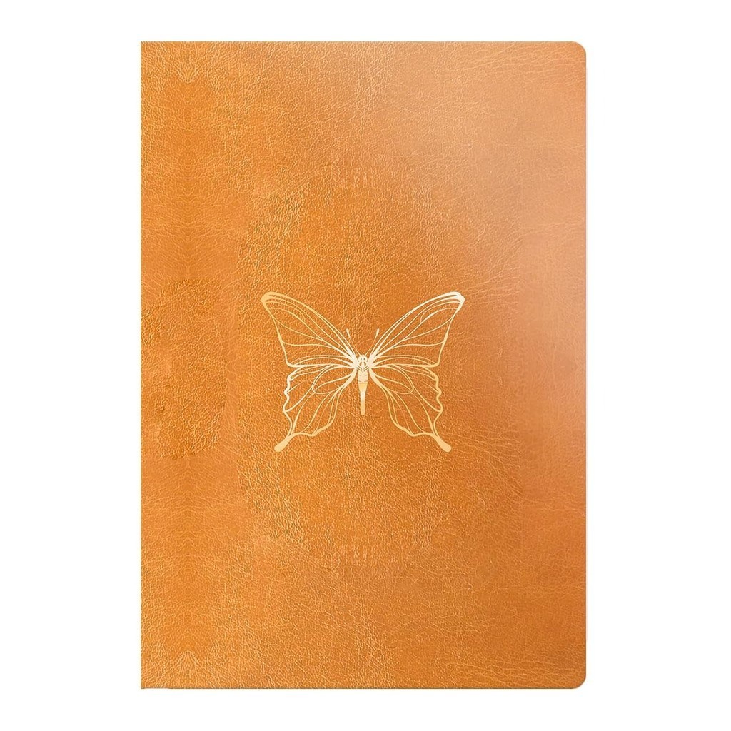 Bíblia ANOTE | NVI | Letra Grande | Palavras de Jesus em Vermelho | Luxo | Castanho em Oferta na Shopee