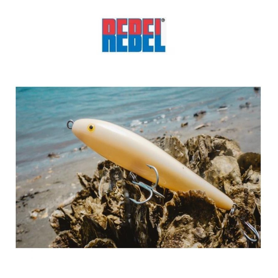 Isca Rebel T20 Jumpin Minnow 11,4cm 23g Superf.  Zara Stick