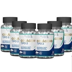 Kit com 6 Colágeno Tipo 2 500mg 60 Cápsulas - Flora Viva