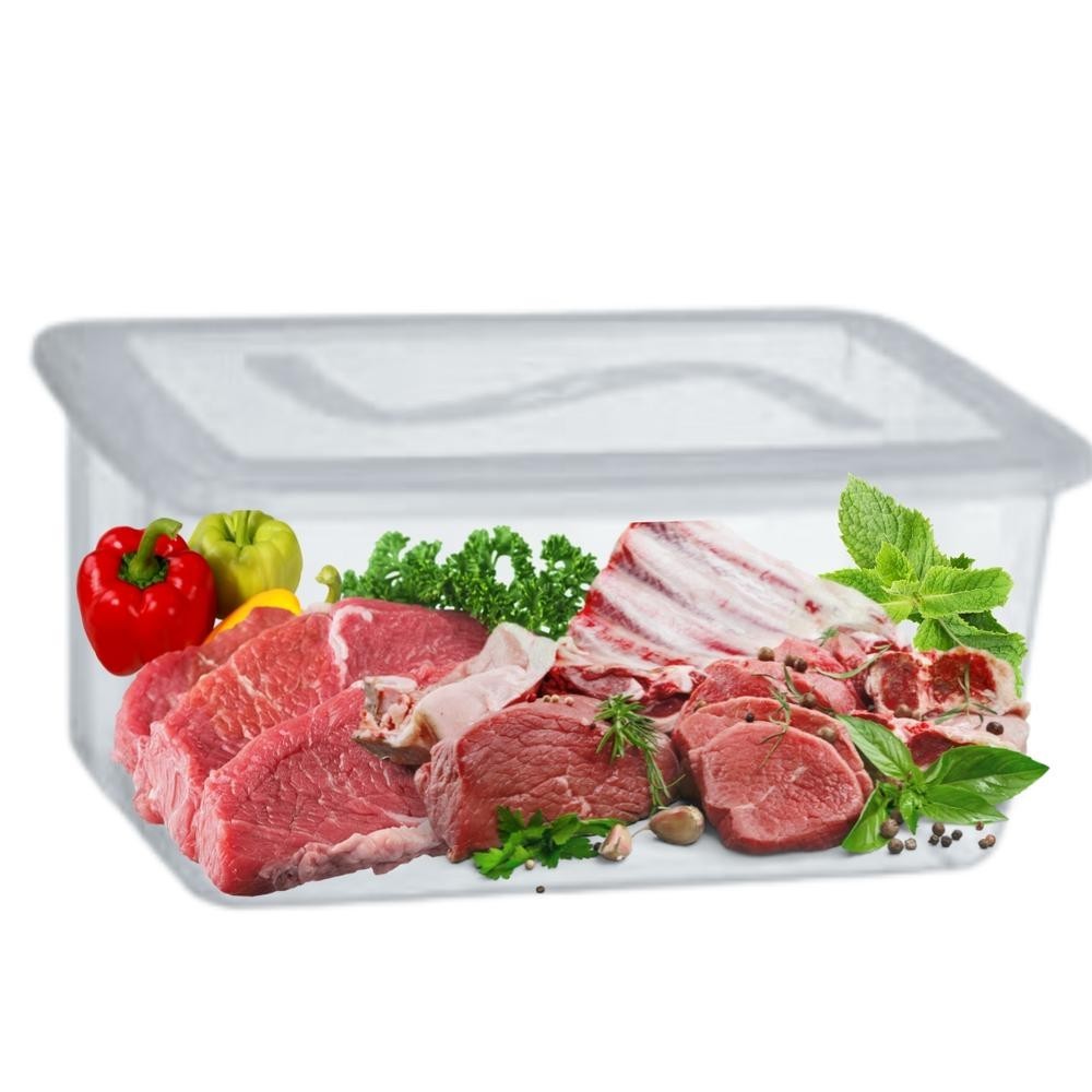 CAIXA DE PLÁSTICO ARMAZENAMENTO DE ALIMENTO TRANSPARENTE TOPA TUDO 20L AÇOUGUE COZINHA
