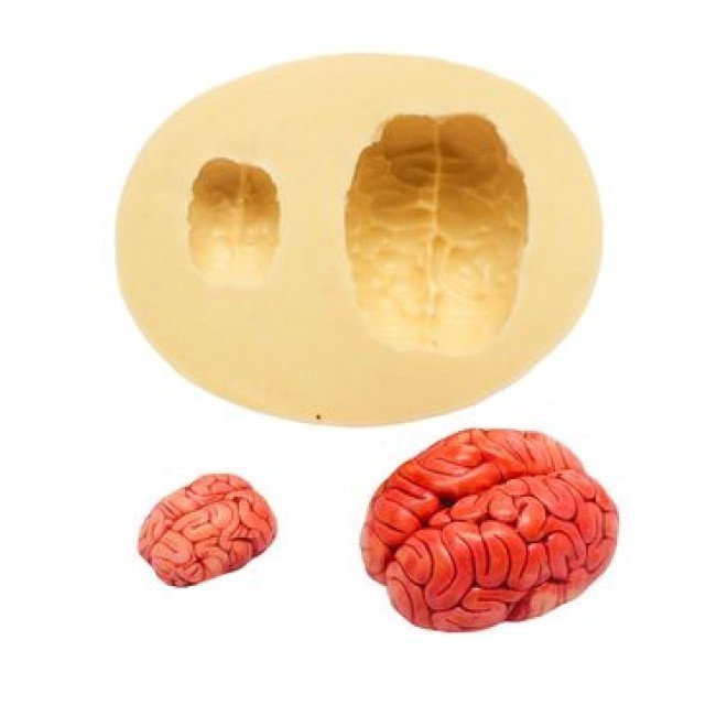 Molde de Silicone Cérebro para Decorar Corpo Humano, Zumbi