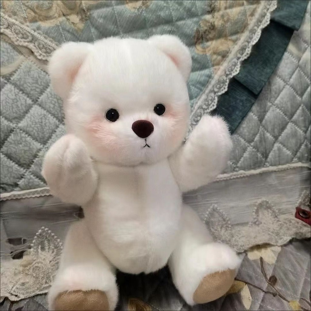 Urso de pelúcia de 30 cm Urso de pelúcia para meninos e meninas presentes de aniversário festa em Oferta na Shopee