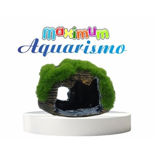 Barril Em Resina Com Musgo Realista Para Aquário Com Amor Para Peixes em Oferta na Shopee