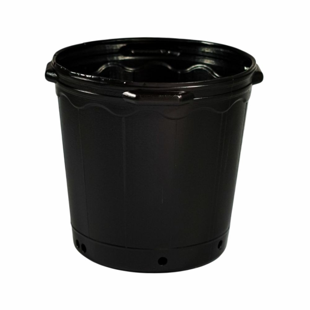 5 Pote Vaso de Muda 30 Litros