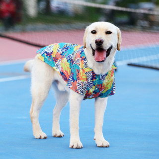 Roupas Para Animais De Estimação Camisa De Verão Fina Grande Cães Golden Retriever Labrador Pet Havaiana em Oferta na Shopee
