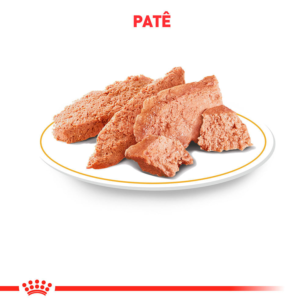 Detalhes do Kit 2 x Lata Low Fat (Patê) Royal Canin Veterinary Gastrointestinal Low Fat 420g Cães Adultos