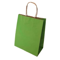 10~50 SACOLA DE PAPEL VERDE LIMÃO 21,5X17,5X8,5 (LC) REF:5005(CHOCO)
