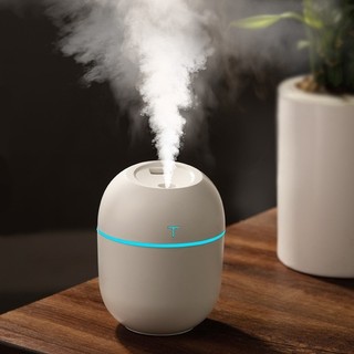 Mini Umidificador Difusor Egg USB Portátil com LED, Aromatizador e Purificador de Ar Pess…