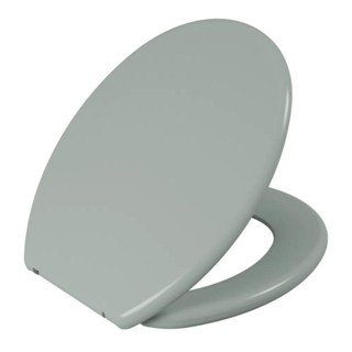 ASSENTO SANITARIO ASTRA OVAL TAMPA PRIVADA UNIVERSAL VERDE em Oferta na Shopee