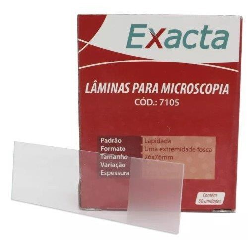 LAMINA 26X76MM LAPIDADA PONTA FOSCA CX/50 PECAS - EXACTA em Oferta na Shopee