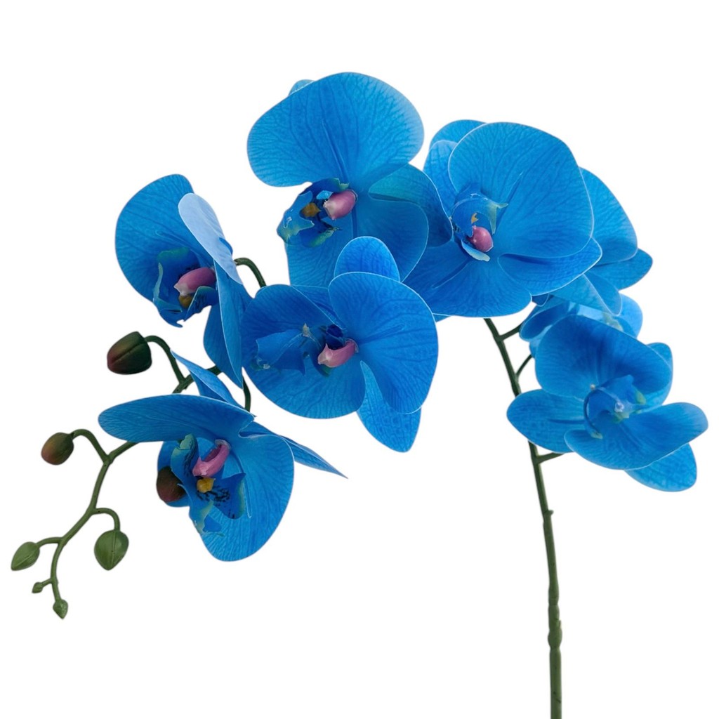 Orquídea Grande Siliconada Toque Real Artificial 90cm em Oferta na Shopee