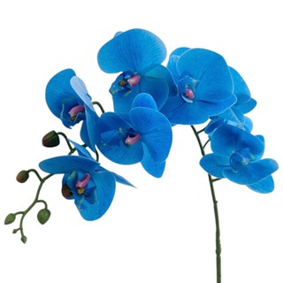 Orquídea Grande Siliconada Toque Real Artificial 90cm em Oferta na Shopee