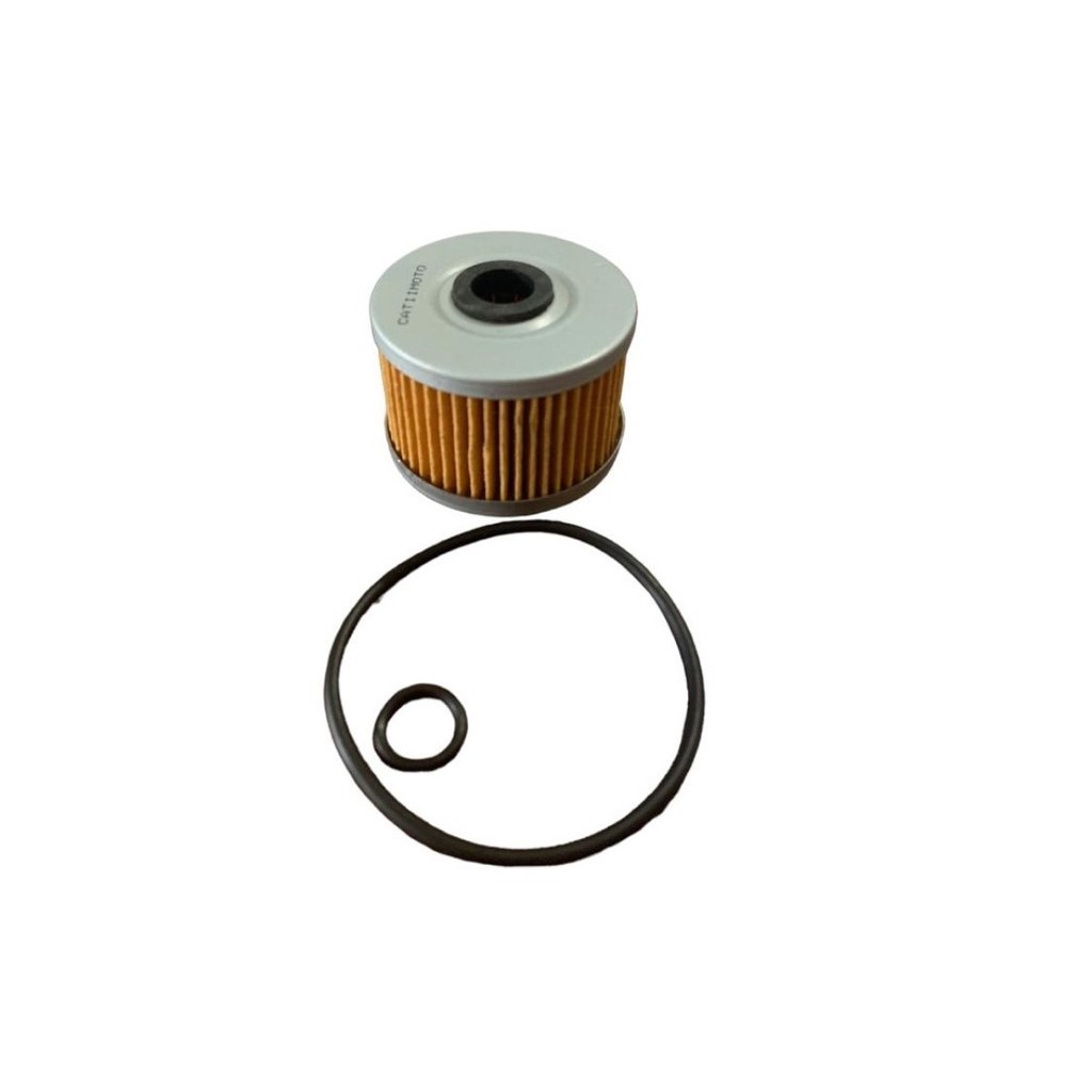Filtro de Óleo Cbx250 Xlx250 Xlx350 Nx400 Cb300 Xre Xr250