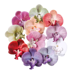 Cabeça De Orquídea Artificial Borboleta Falsa A Granel Para Artesanato De Bricolage Peças De Centro De Festas Decoração De Casa