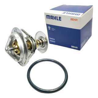 Valvula Termostatica Courier Ecosport Escort Fiesta Focus Ka 1.0 1.0 8v Supercharger Zetec Rocam em Oferta na Shopee