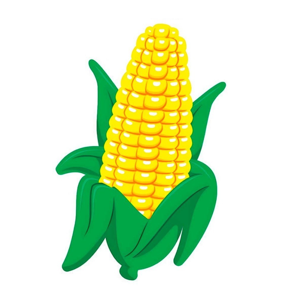 Decoração Festa Junina Milho Verde 2D Gigante Painel EVA Pendurar Na Parede em Oferta na Shopee